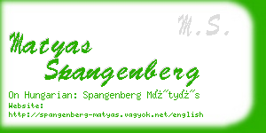 matyas spangenberg business card